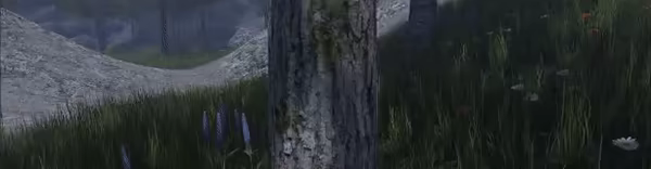 Ember's Verge video 3