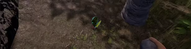 Ember's Verge video 2