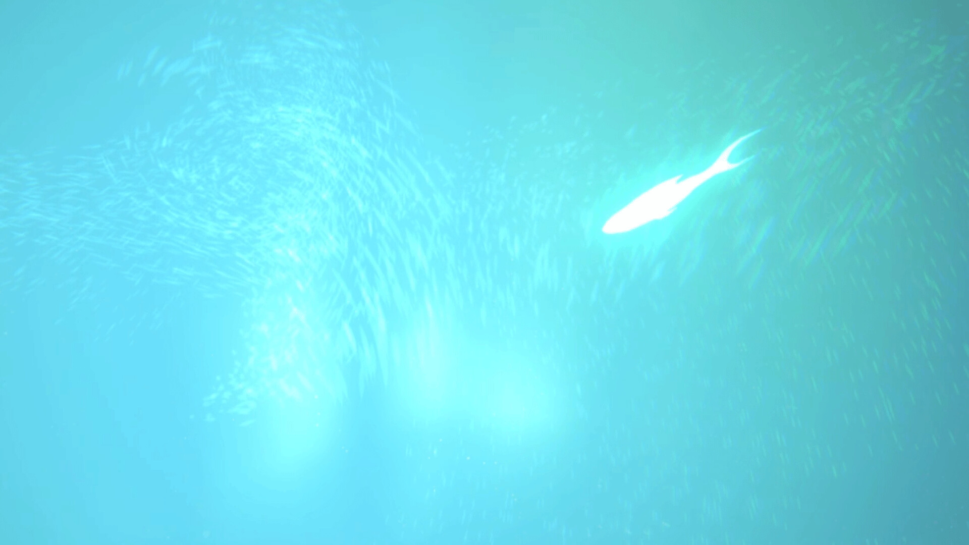 MOLY screenshot 4