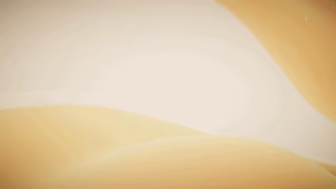 Ringo TD video 1