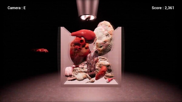 Make Up Human screenshot 4