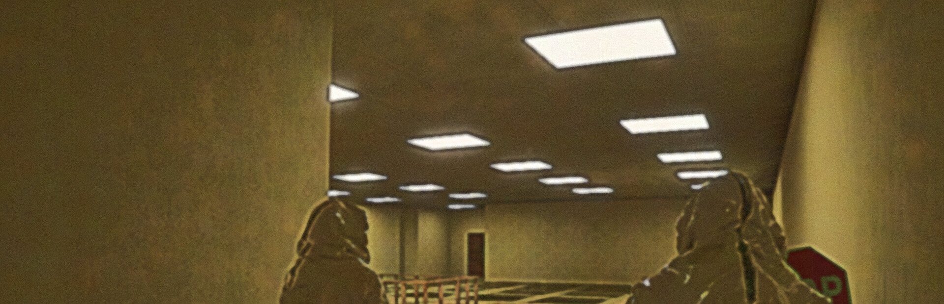 Backrooms: The Labyrinth