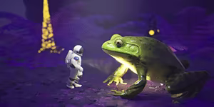 The Great Fluctus video 2