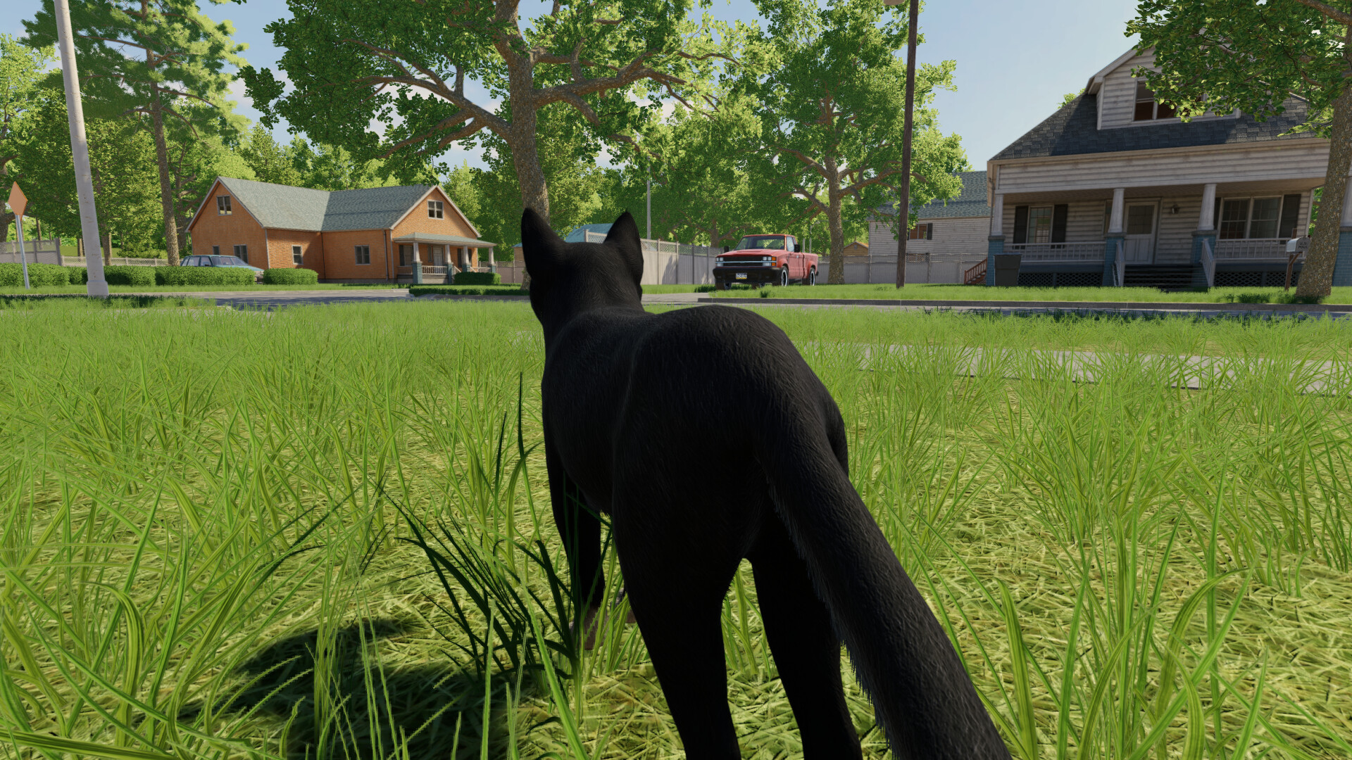 Reign of Cats screenshot #3