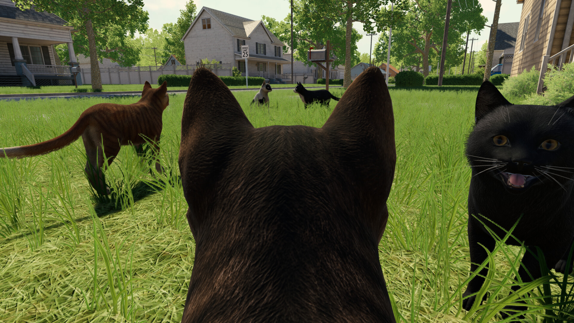 Reign of Cats screenshot #5