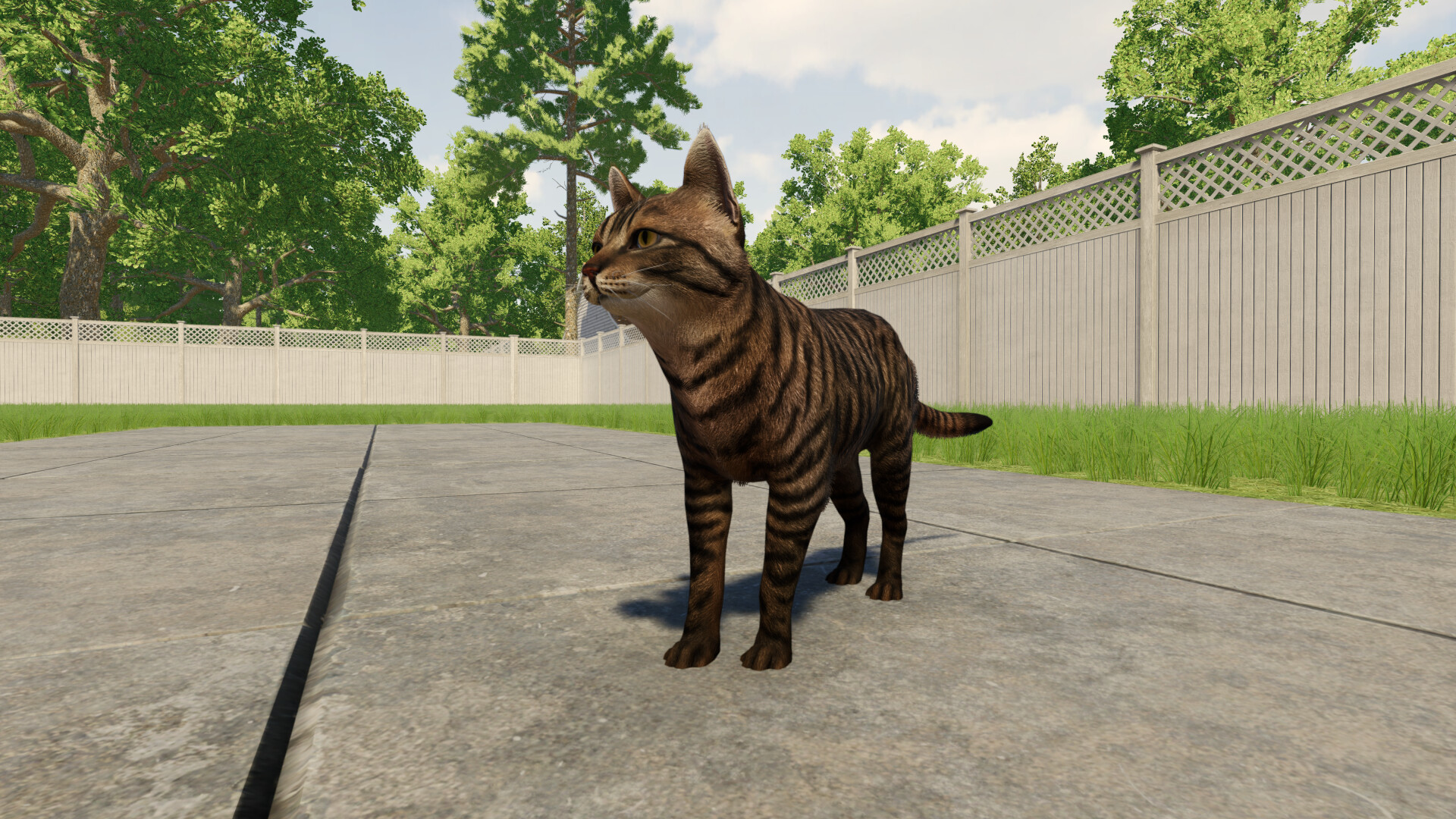 Reign of Cats screenshot #2