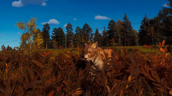 Скриншот из Way of the Hunter - Lintukoto Reserve