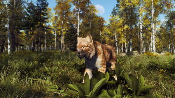 Скриншот из Way of the Hunter - Lintukoto Reserve