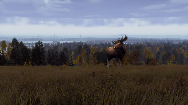 Скриншот из Way of the Hunter - Lintukoto Reserve