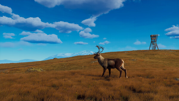 Скриншот из Way of the Hunter - Lintukoto Reserve