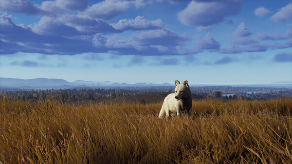 Скриншот из Way of the Hunter - Lintukoto Reserve