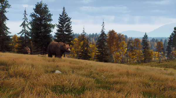 Скриншот из Way of the Hunter - Lintukoto Reserve
