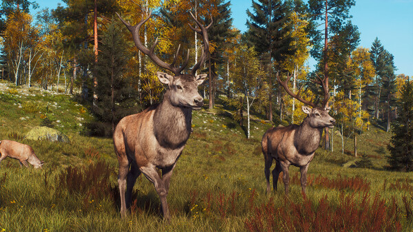 Скриншот из Way of the Hunter - Lintukoto Reserve