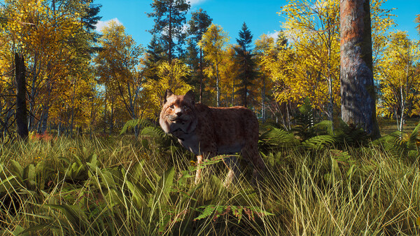 Скриншот из Way of the Hunter - Lintukoto Reserve