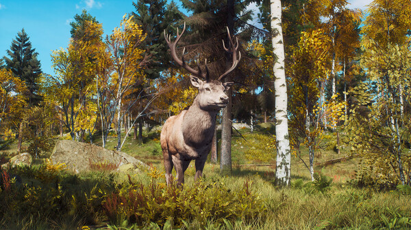 Скриншот из Way of the Hunter - Lintukoto Reserve