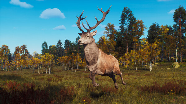 Скриншот из Way of the Hunter - Lintukoto Reserve