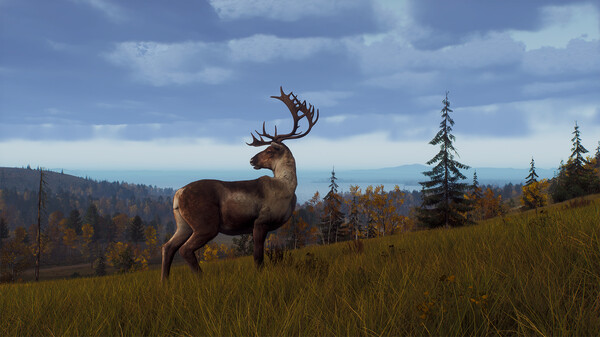 Скриншот из Way of the Hunter - Lintukoto Reserve