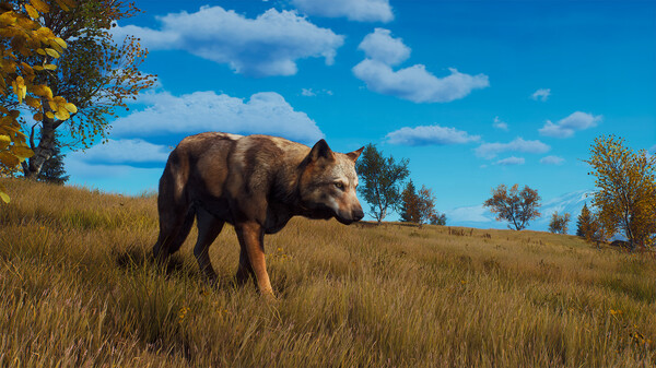 Скриншот из Way of the Hunter - Lintukoto Reserve