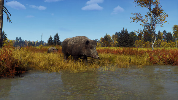 Скриншот из Way of the Hunter - Lintukoto Reserve