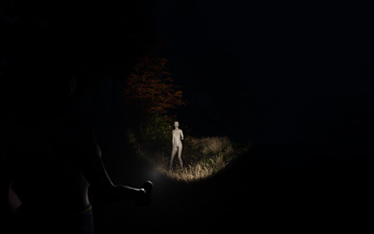 Light - Demo screenshot 3