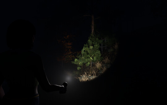 Light - Demo screenshot 4