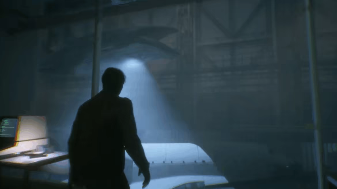 INTERSCAPE video 5