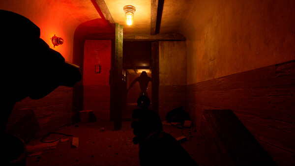 Скриншот 5 из игры Schizophrenia: R.EM. Protocol