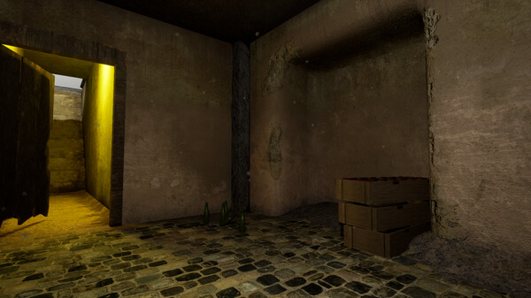 Schizophrenia: R.EM. Protocol screenshot 12