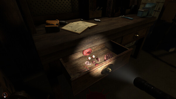 Myst of Guatemala screenshot 3