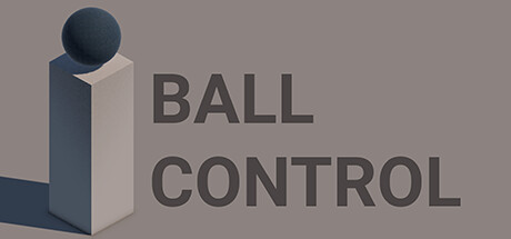 Ball Control Cover Image