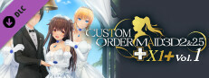 CUSTOM ORDER MAID 3D2&2.5+ X1+Vol.01 game capsule image