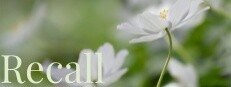 Recall