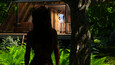 Screenshot #7