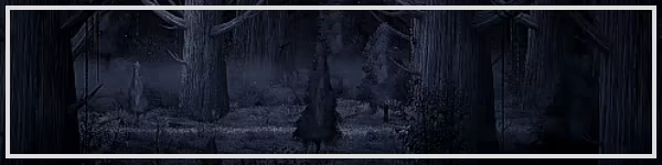 You see me? video 1
