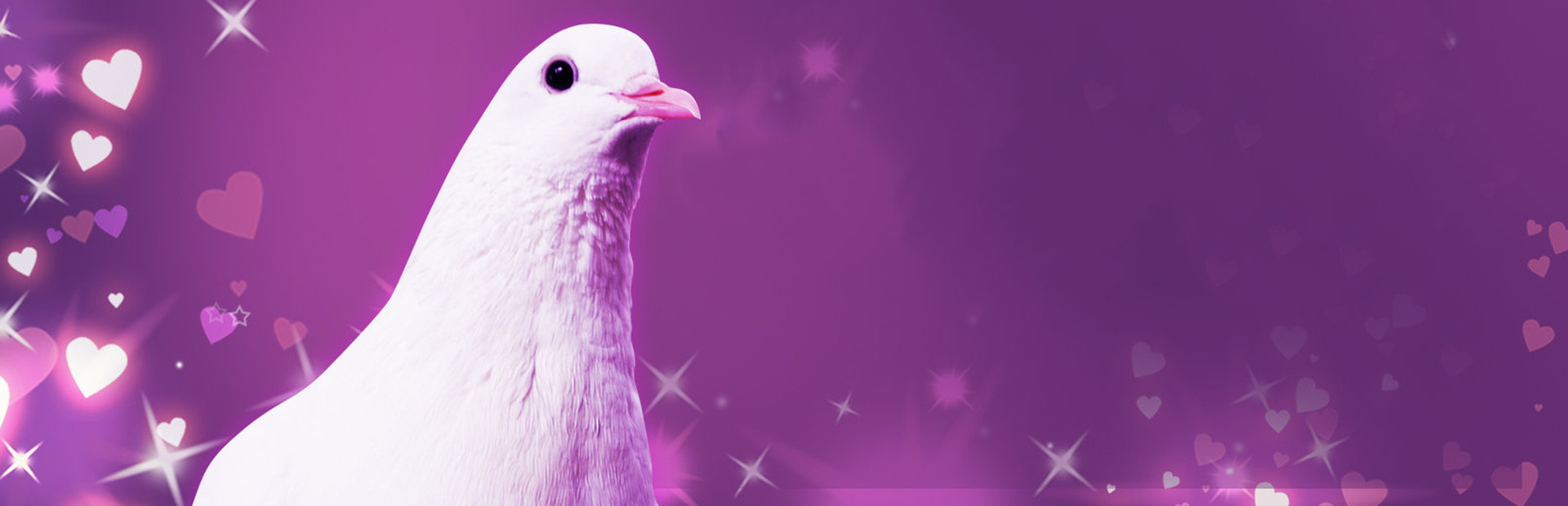 Hatoful Boyfriend