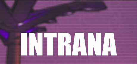 Intrana banner