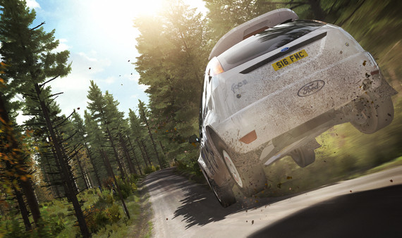 DiRT Rally screenshot