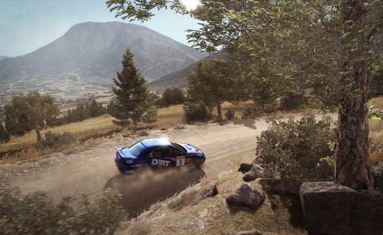 DiRT Rally screenshot