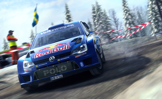 DiRT Rally screenshot