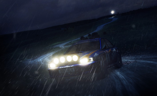 DiRT Rally screenshot