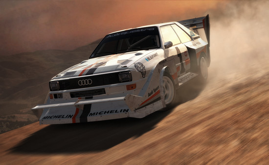 DiRT Rally screenshot