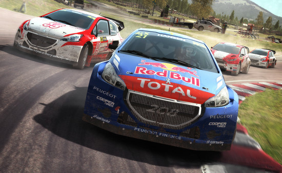 DiRT Rally screenshot