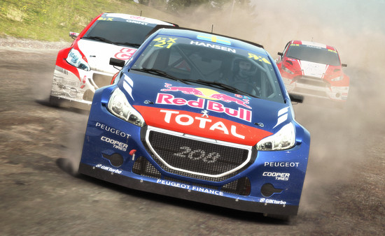 DiRT Rally screenshot