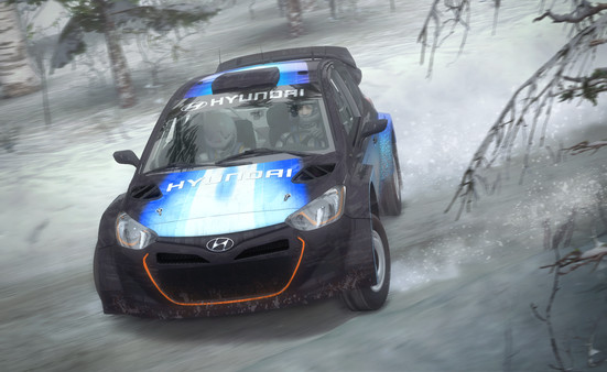 DiRT Rally screenshot