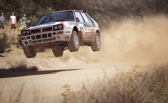 DiRT Rally screenshot