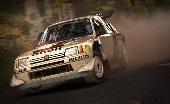 DiRT Rally screenshot