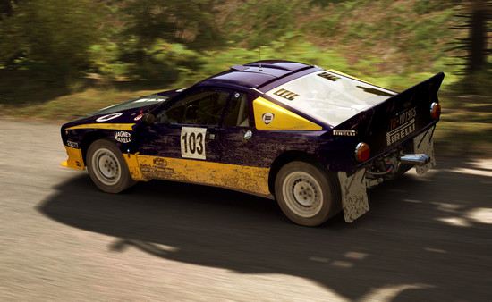 DiRT Rally screenshot