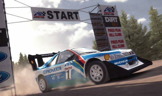 DiRT Rally screenshot