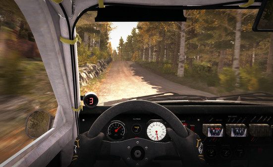 DiRT Rally screenshot