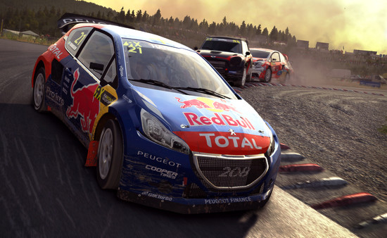 DiRT Rally screenshot